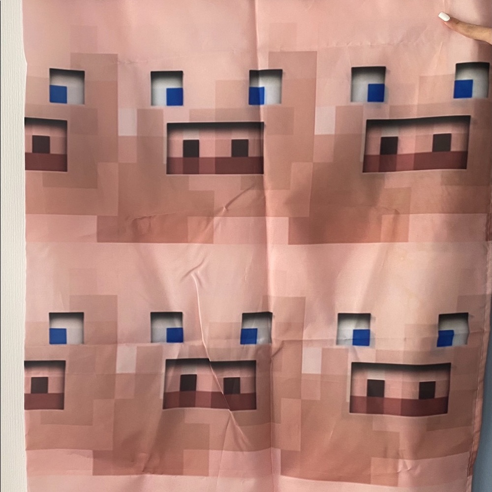 Minecraft shower curtain